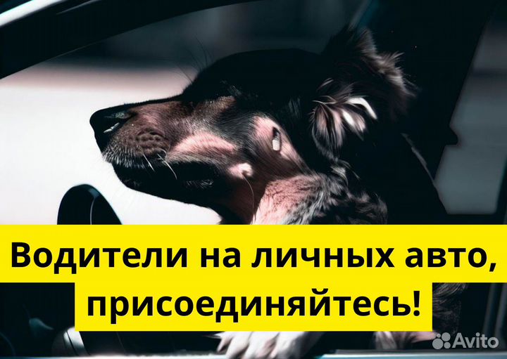 Стань водителем Яндекс.GO