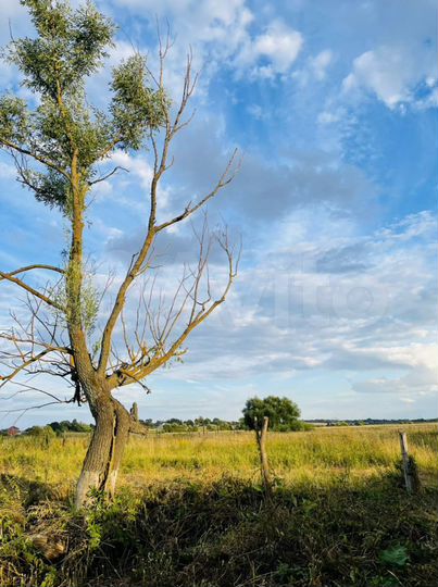 Участок 20 сот. (ИЖС)