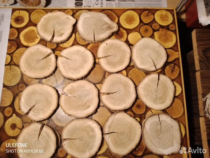 Спилы дерева