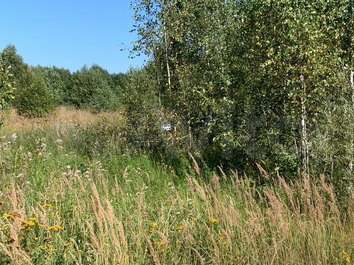 Участок 14,4 сот. (ИЖС)