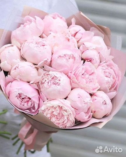 Пионы Цветы Доставка