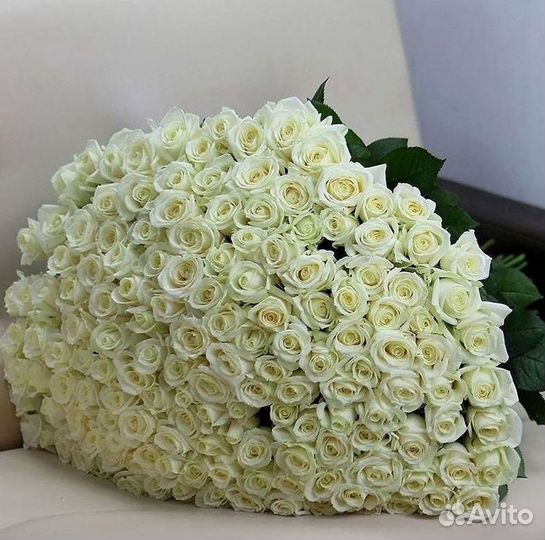 Цветы розы букеты 25 31 35 51 101 251 Доставка