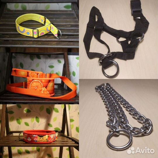 Ошейник, намордник для собак