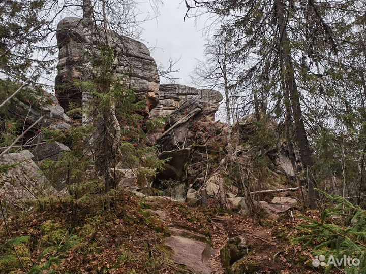 Тур выходного дня