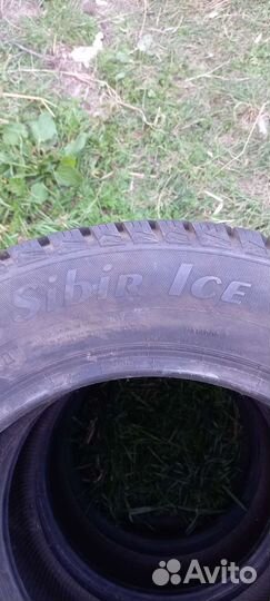Matador MP 50 Sibir Ice 195/65 R15