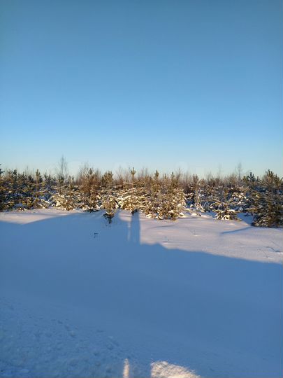 Участок 2,16 га (ИЖС)