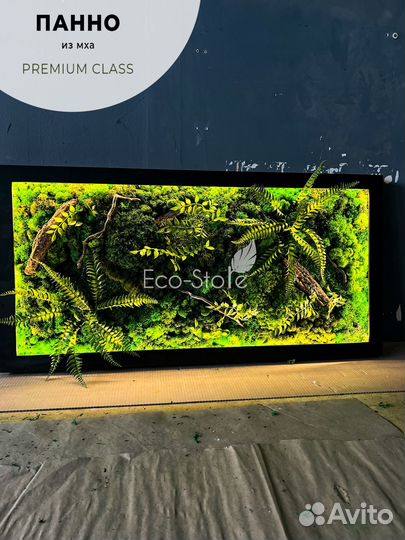 Панно мох с теплой подсветкой