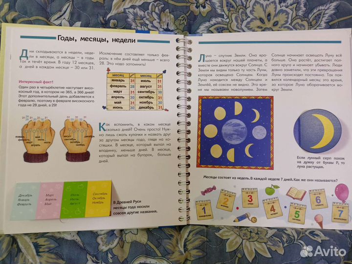 3+ Интерактивные книги, Мир животных, Время и часы