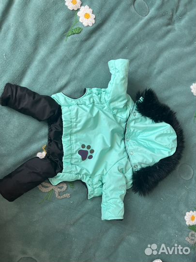 Одежда для собак