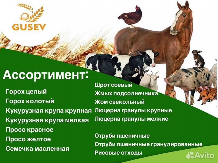 Жмых подсолнечника/Корм для с\х животных