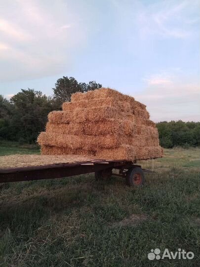 Сено и солома в тюках и рулонах