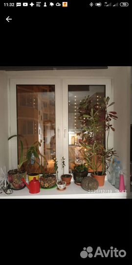 Утеплитель для окон (теплолента) 10 м50 мм - 2 шт