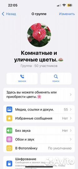 Комнатные цветы антуриум