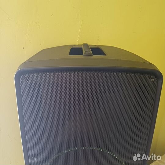 Активная колонка Leem ABS-12al