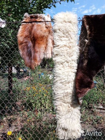 Меховой воротник