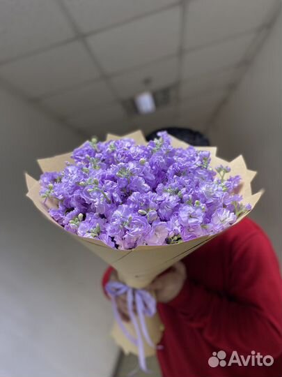 Букет из 15шт матиола/ букеты/ розы/ гипсофила