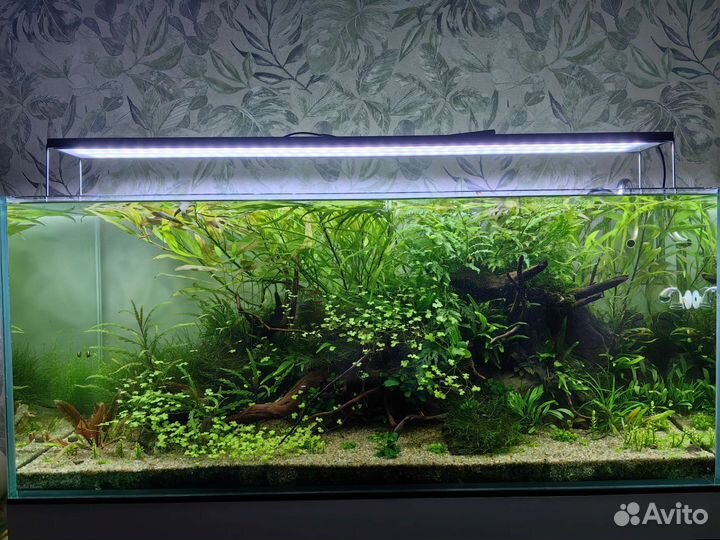 Аквариум 300 литров