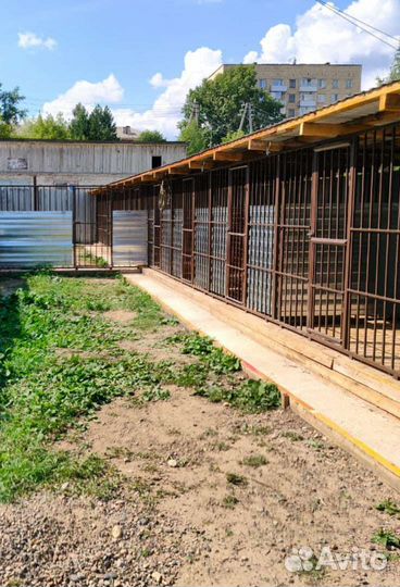 Уход за животными,передержка, зоогостиница