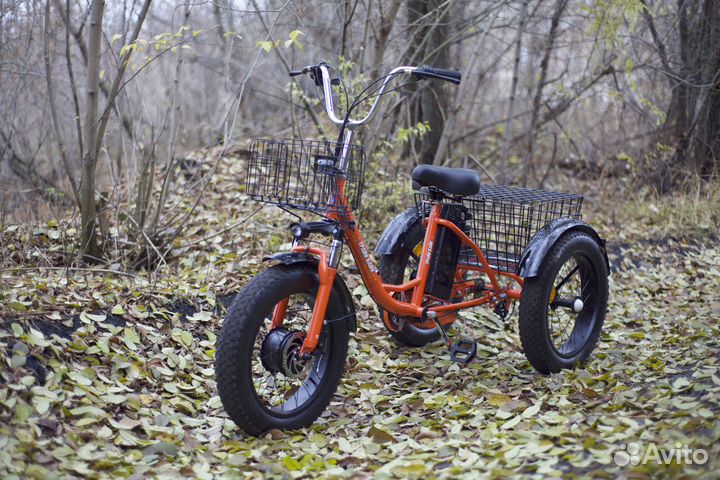 Электробайк всей семье трехколесный