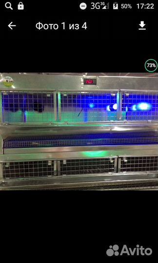 Клетка для Перепелов+ Брудер