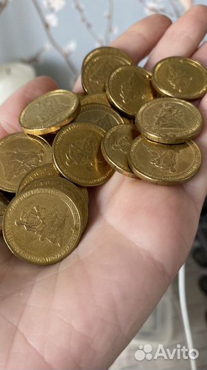 Гвс 2013 Сталинградская битва