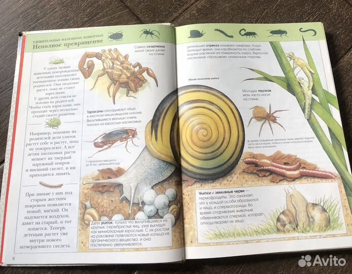 Большая детская энциклопедия