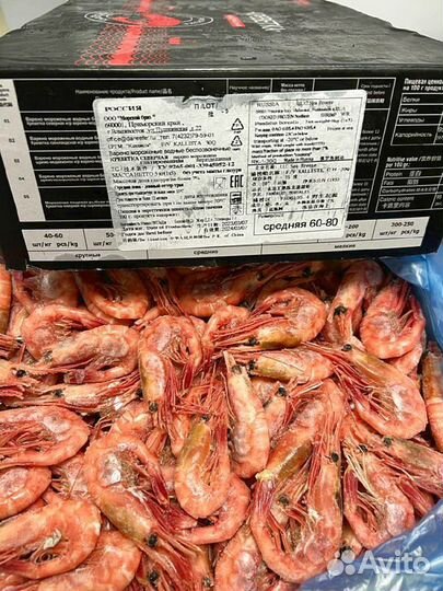 Креветка Северная