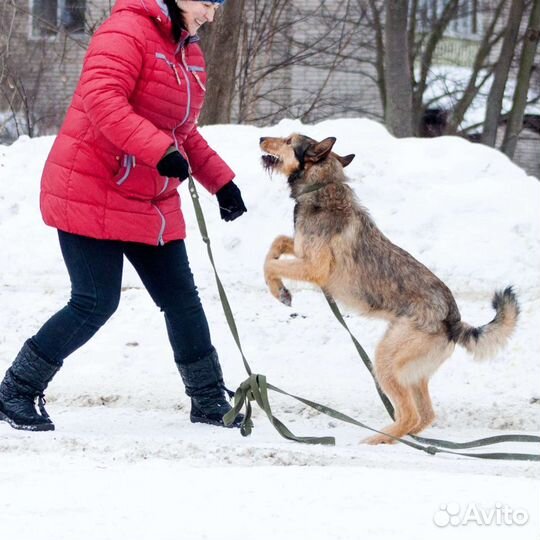 Классный Лайк