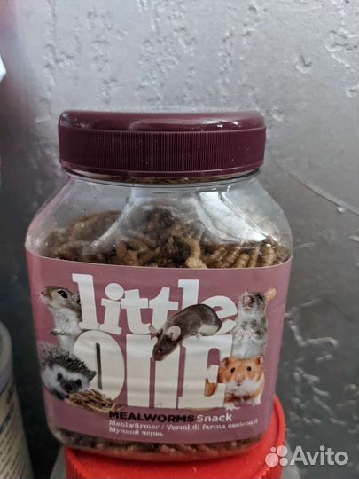 Для грызунов