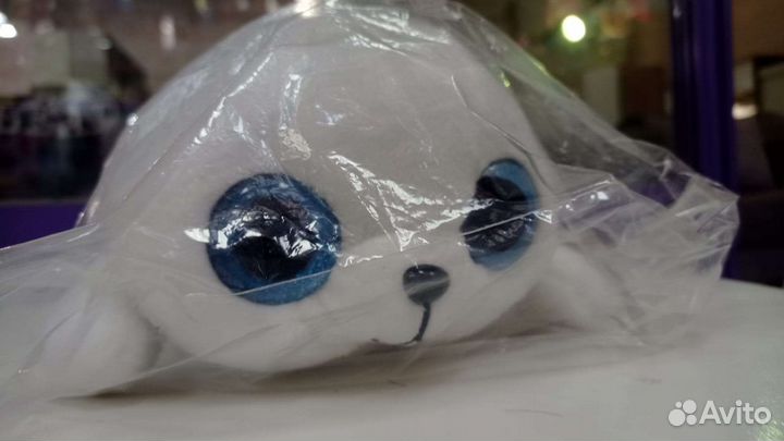 Нерпа с большими глазами