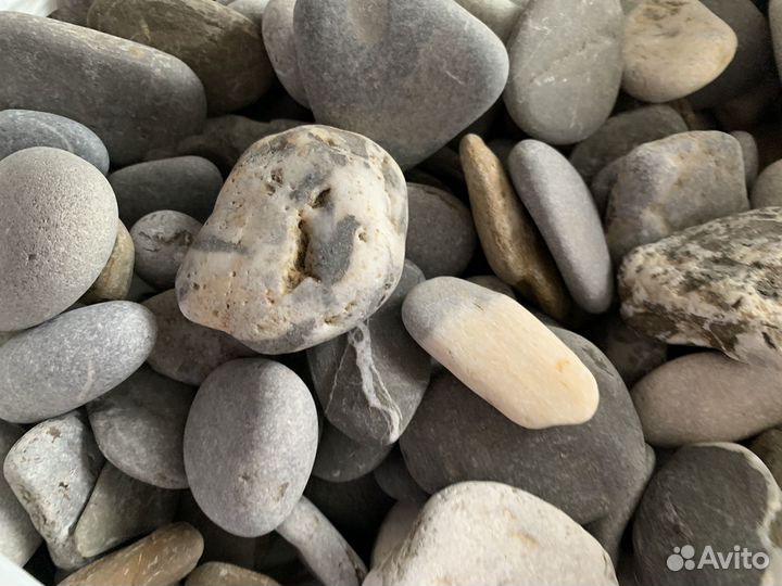 Морские камни