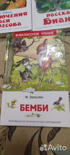 Книги для внеклассного чтения