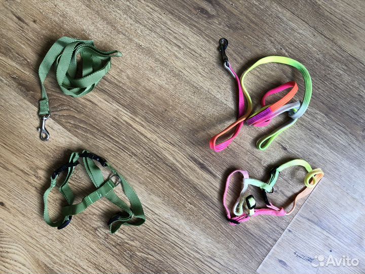 Шлейки и поаодки для домашних питомцев