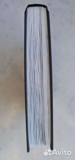 Дмитрий Портнягин 