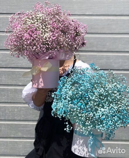 Букет цветов из гипсофил Гигант