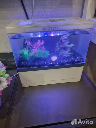 Аквариум