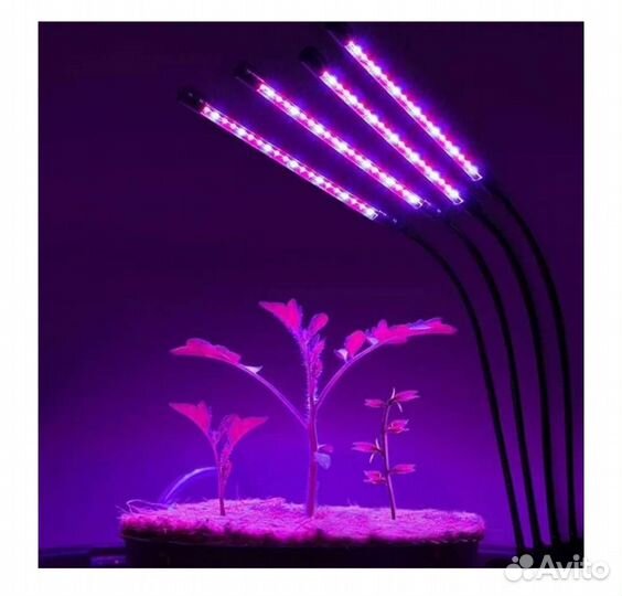 Фитолампа для растений