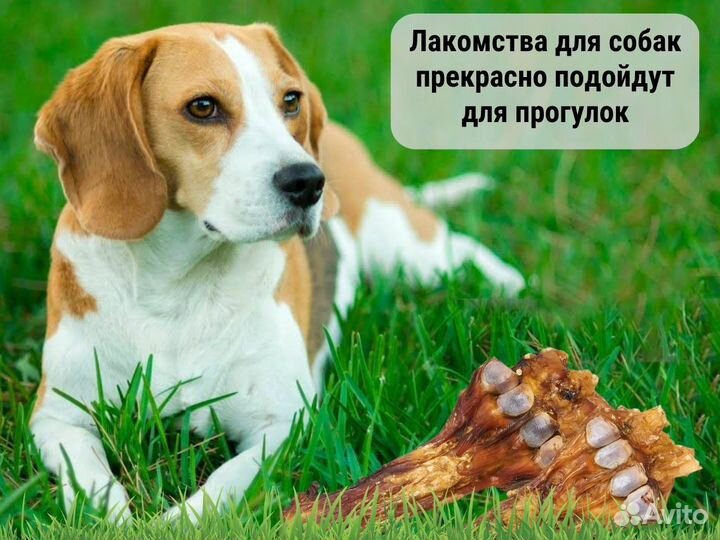 Лакомства для собак sobakevich мелкий опт