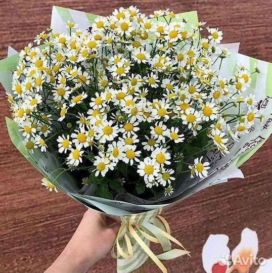 Ромашки Пионы Розы Доставка