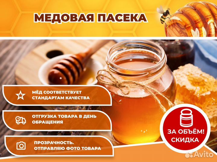 Мёд Липа, Акация, Донник оптом от 100 кг