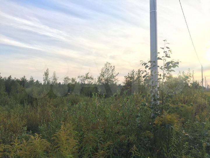 Участок 9 сот. (СНТ, ДНП)