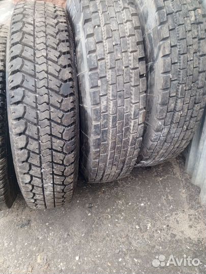 Tyrex CRG O-79 295/6 R18