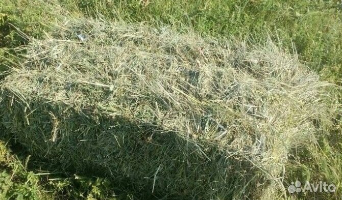 Солома в тюках