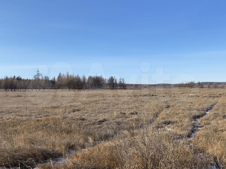 Участок 2 га (СНТ, ДНП)