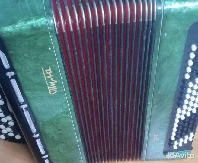 Баян тула 207 ученический