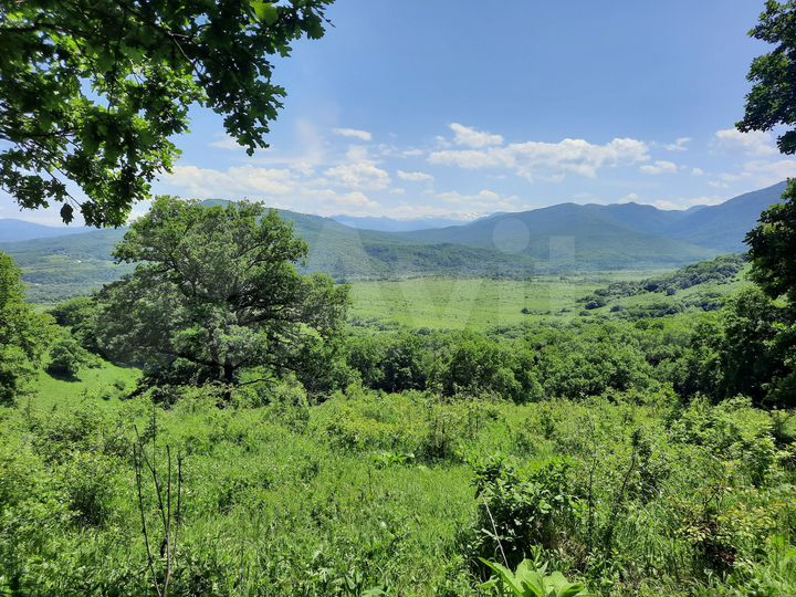 Участок 100 сот. (СНТ, ДНП)