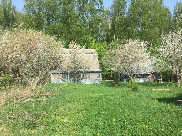 Участок 12 сот. (СНТ, ДНП)