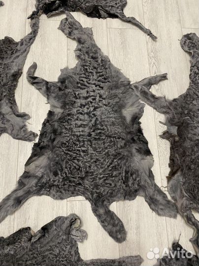 Шкура каракуль, каракульча