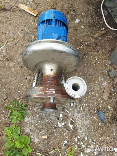 Насос пищевой