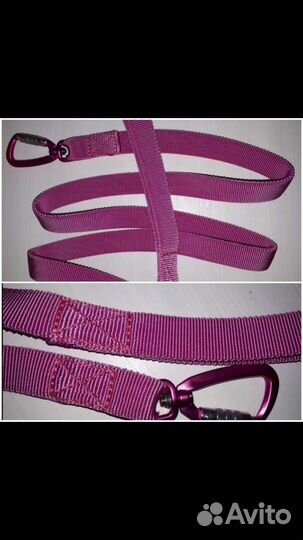 Монопотяг, Поводок, Намордник, Ошейник